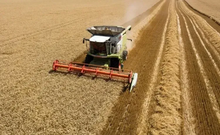 La agroexportación liquidó US$2.750 millones en agosto
