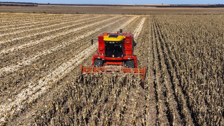 La Pampa exportó US$939 millones en 2025: las oleaginosas aumentaron 48,6%