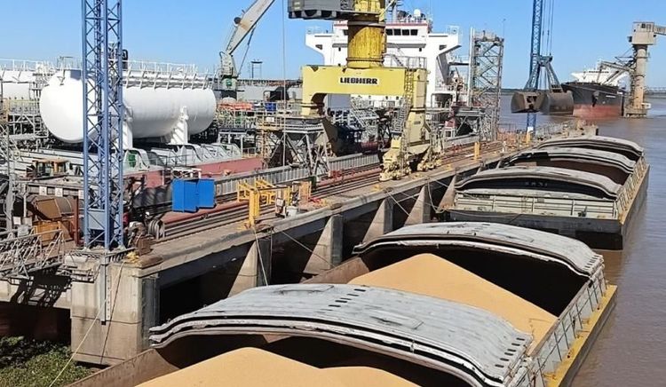 Terminales y Servicios S.A. alcanzó el buque número 1.000 operado en el Gran Rosario
