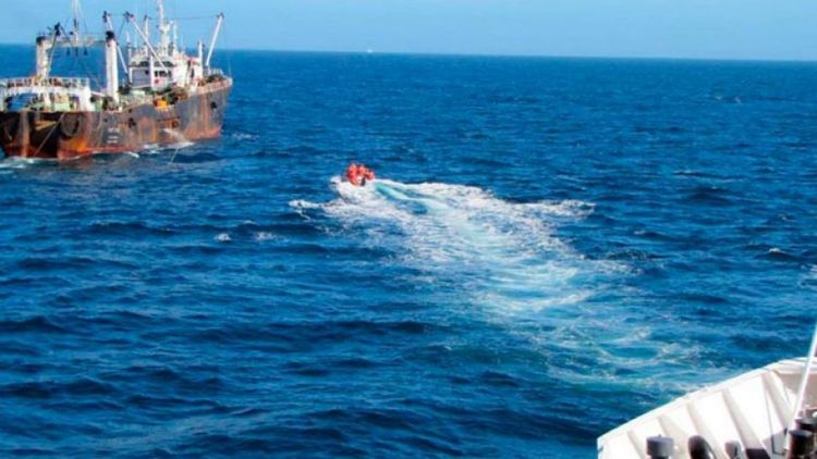 El saldo comercial pesquero acumuló US$ 1.231,2 millones y las importaciones llegaron a US$ 149 millones