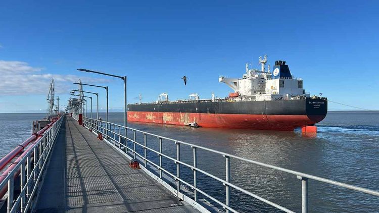 Llegaron al Puerto Rosales los brazos de carga del nuevo muelle del Proyecto Rosa Negra