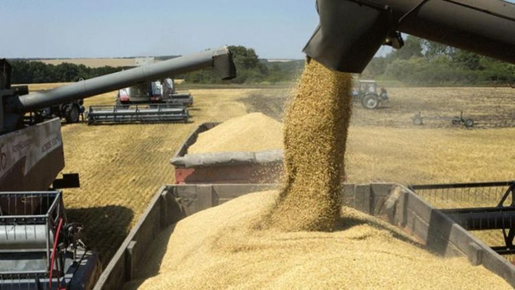 La liquidación del sector agroexportador alcanzó los US$ 2.918 millones en julio, registrando un incremento del 14% respecto al promedio histórico