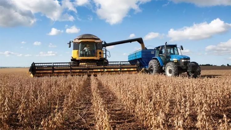 Los mercados agrícolas operan estables con foco en las lluvias de EE. UU. y recortes en Europa