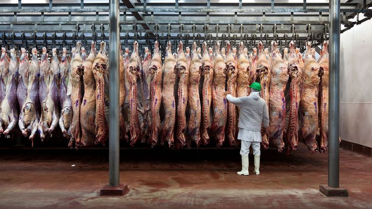 La Bolsa de Rosario analizó cómo el nuevo cupo de carne de Estados Unidos podría afectar la ventaja comercial argentina