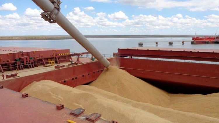 Los granos en Chicago se encaminan a bajas semanales impulsados por mejoras climáticas en EE.UU.
