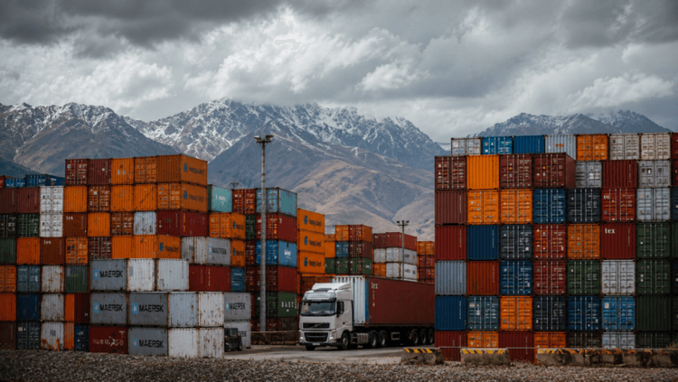 Las exportaciones argentinas crecieron 24,6% en el primer semestre y avanzaron en todas las regiones