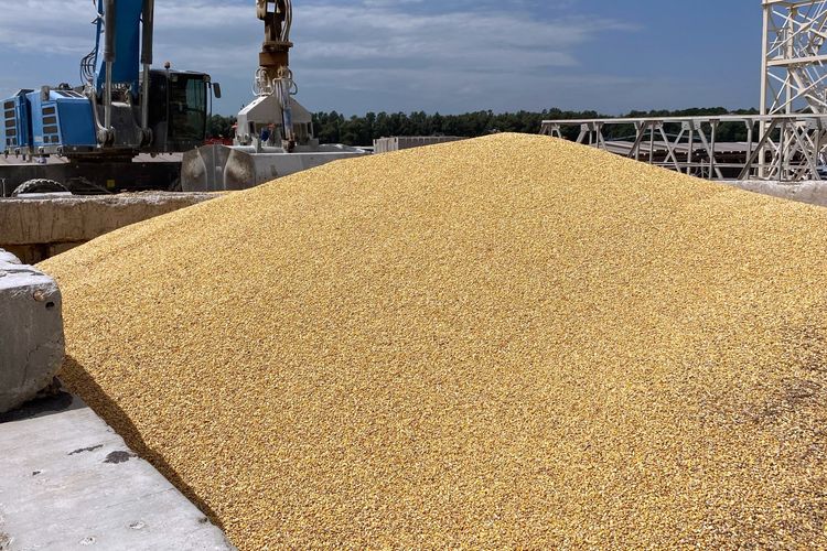 El maíz aportó el 25% de las exportaciones de Córdoba en el primer semestre
