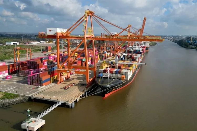 Imagen de portada - Argentina adjusts agro-industrial export quotas to Ecuador, Mexico, and other markets