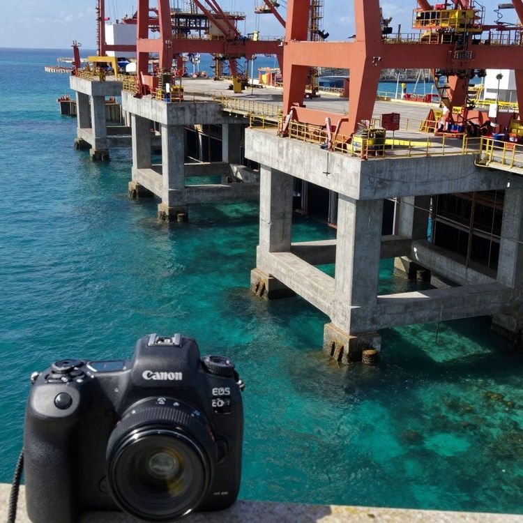 Imagen de portada - BIOLOGISTS MONITOR EIA AT MULTIPURPOSE DOCK