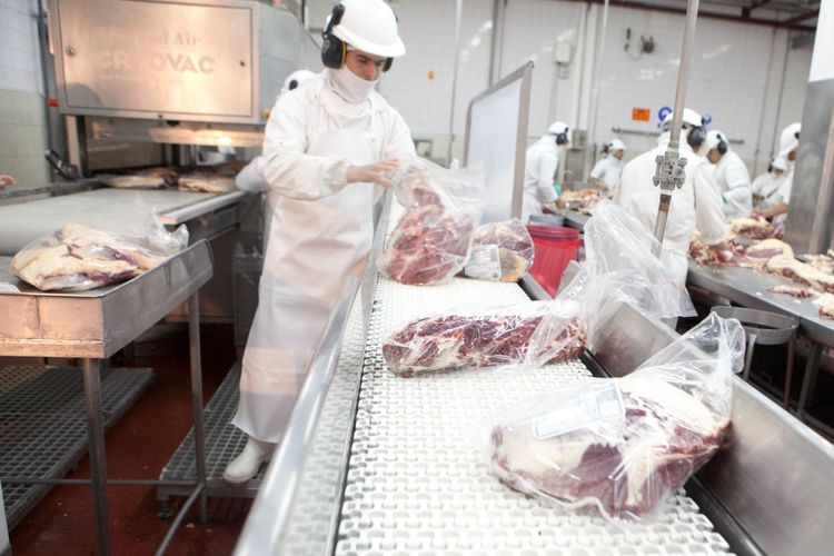 Imagen de portada - Beef Exports Grow 10% in First Half of 2026