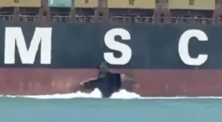 Imagen de portada - Buque portacontenedores de MSC dañado en aparente ataque frente a Irak