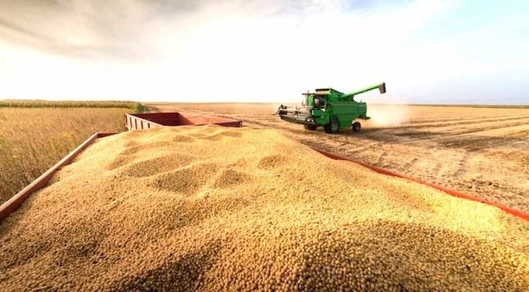 Fuerte alza en los mercados granarios: tensiones geopolíticas, clima y logística impulsan las cotizaciones en Chicago y la plaza local