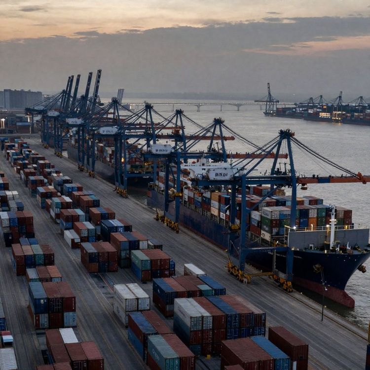 Imagen de portada - Calamasur y Conxemar impulsan futuro sostenible del calamar gigante en el Pacífico sur