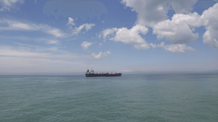 Sancionan con $1.833 millones a un buque de bandera extranjera por pesca ilegal en la ZEEA