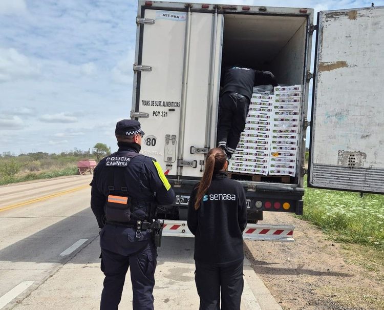 Imagen de portada - Chaco: Se evitó el comercio de más de 30 toneladas de frutas frescas trasladadas sin documentación
