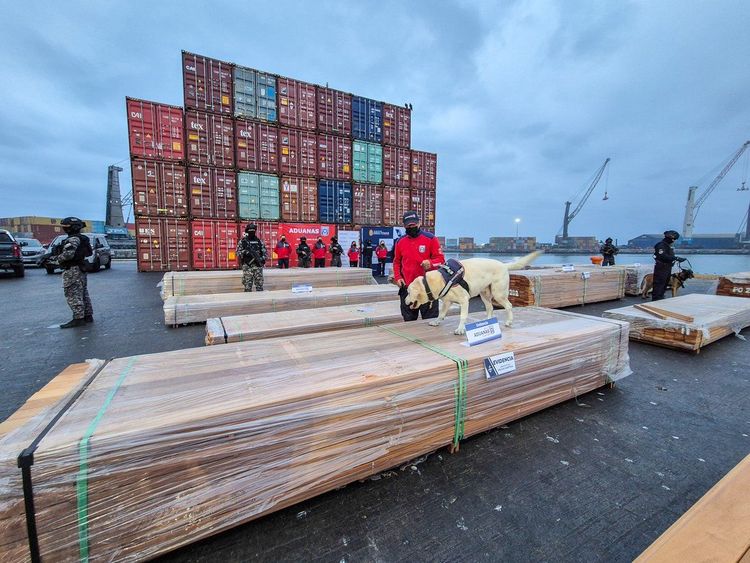 Imagen de portada - Chilean Authorities Confirm Drugs in Bolivian Timber Seized at Ports