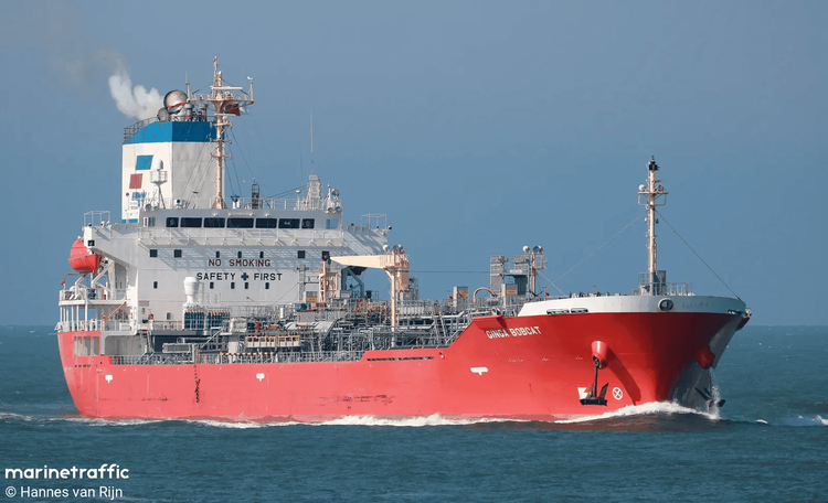 Imagen de portada - Convoy de Barcazas Remolcado por un Remolcador Colisiona con un Buque Tanque Anclado en Argentina