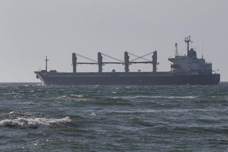 Imagen de portada - Cuello de Botella en el Danubio: 70 Buques en Cola Mientras las Exportaciones de Grano de Ucrania se Ralentizan