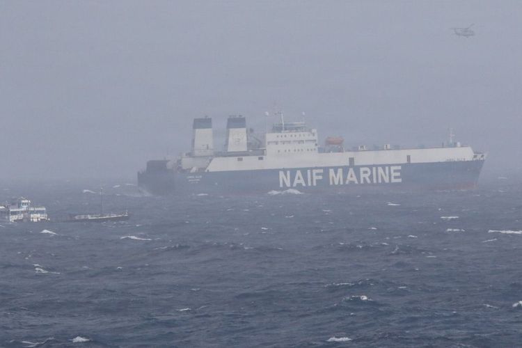 Imagen de portada - EE. UU. Rescata a Marineros Indios Tras el Hundimiento de un Buque en el Mar Arábigo