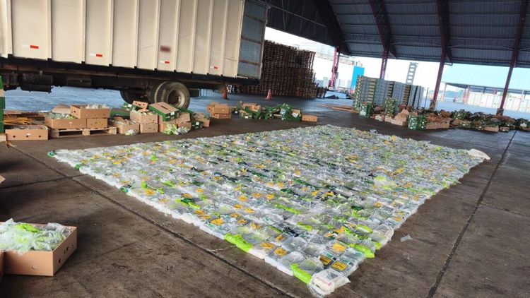 Imagen de portada - Ecuadorian National Police Seizes 1.08 Tons of Cocaine in Puerto Bolívar