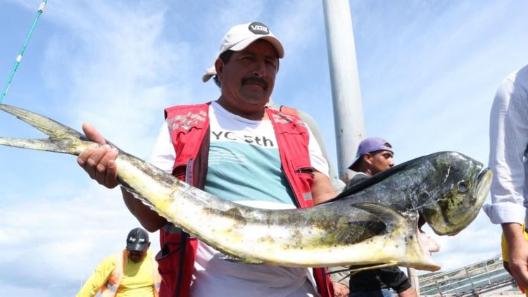 Imagen de portada - El Niño Reduces Ecuadorian Fisheries Exports in First Four Months
