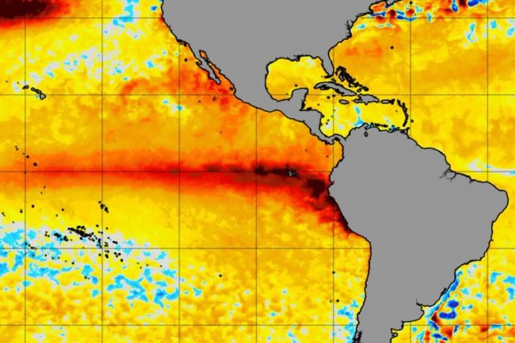 La NOAA elevó la probabilidad de un fenómeno de El Niño "muy fuerte" y hay alerta por lluvias intensas en la región