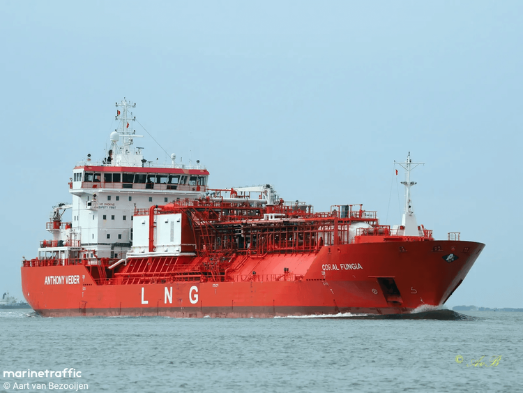 Imagen de portada - El buque cisterna de GNL Coral Fungia colisiona con la embarcación Blue en Amberes