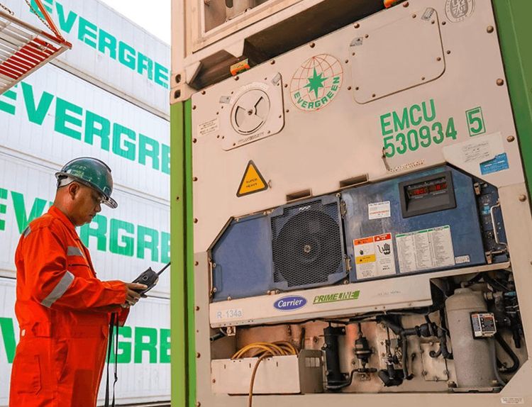 Imagen de portada - Evergreen Deploys 58,000 IoT Reefer Containers for Cold Chain Monitoring