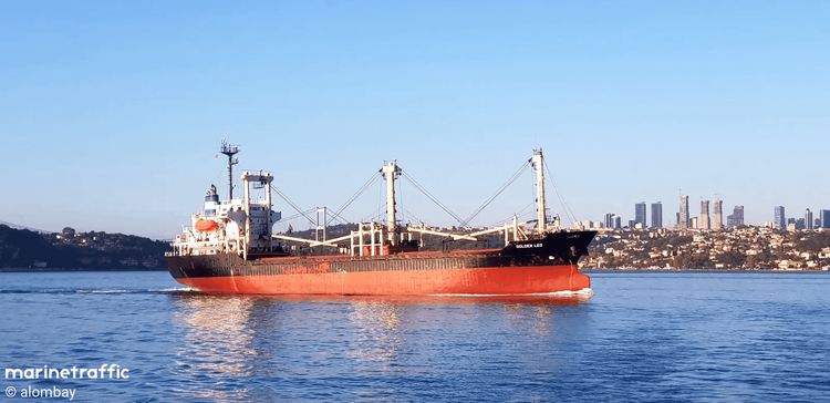 Imagen de portada - Granelero Golden Leo Impactado por Misil Ruso Cerca del Puerto de Odesa