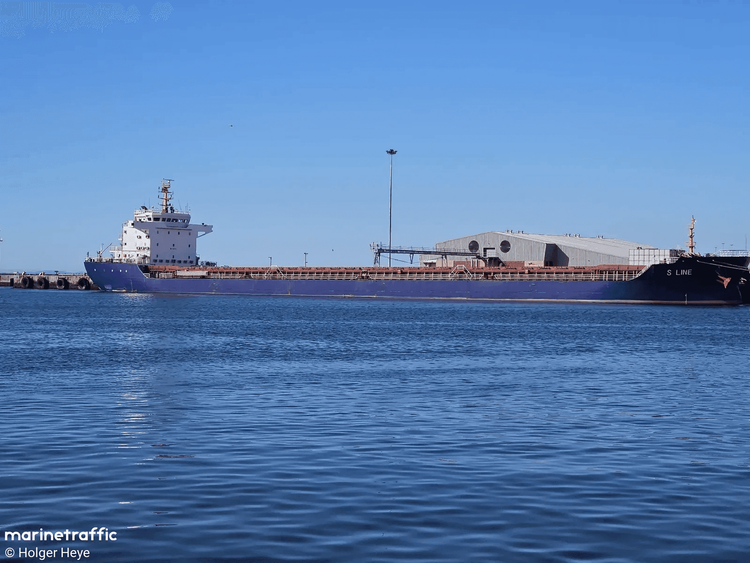 Imagen de portada - Granelero con bandera de Panamá Choca con Estructura Portuaria y Hunde Embarcaciones en el Danubio
