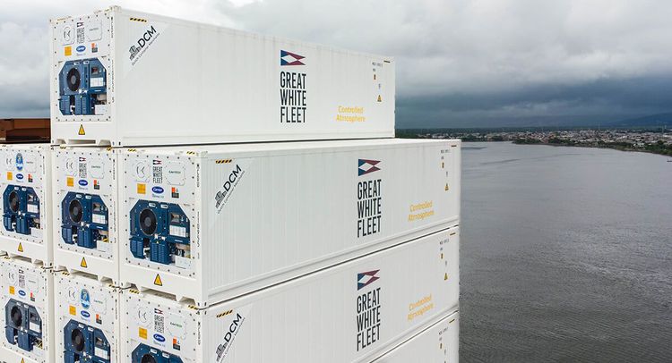 Imagen de portada - Great White Fleet amplía su capacidad de cadena de frío e incorpora una nueva ruta desde Ecuador