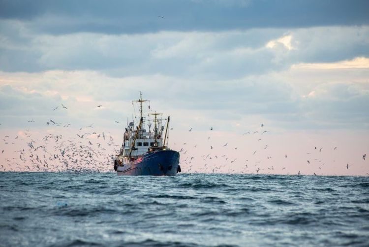 Imagen de portada - Grecia Pide a la UE Intervención por "Pesca Ilegal" de Turquía