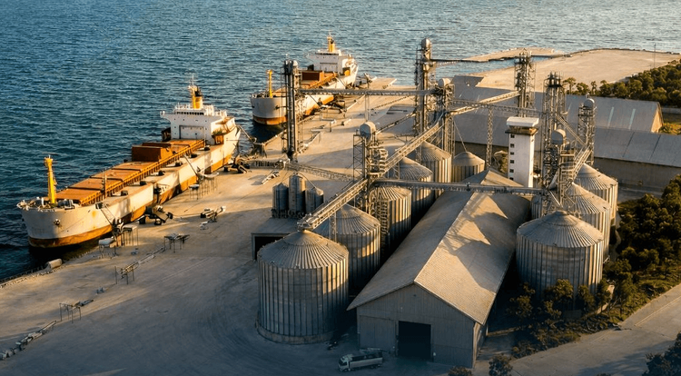 Imagen de portada - Grupo Logra to invest USD 19 million in expansion of Puerto Cortés bulk terminal