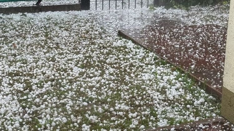 Lluvias con granizo en Córdoba podrían afectar lotes de cultivos invernales
