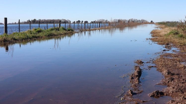 Con lluvias en la media histórica, el sudoeste bonaerense optimizó sus reservas hídricas para la campaña fina