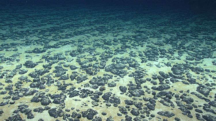 Imagen de portada - La Administración de Minerales Marinos Avanza el Arrendamiento para la Minería en el Lecho Marino de las Islas Marianas del Norte