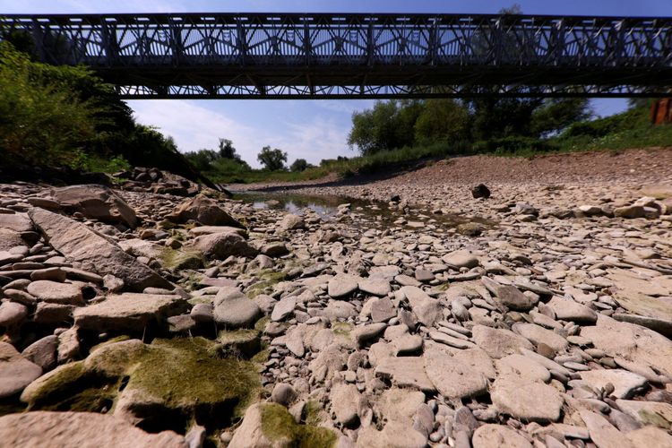 Imagen de portada - Los niveles de agua del Rin caen a su mínimo en 36 años en medio de la ola de calor europea