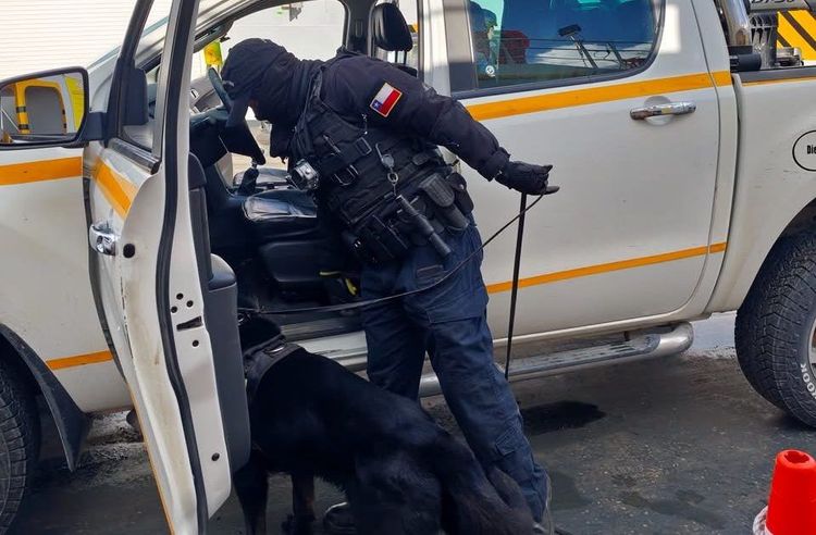 Imagen de portada - Maritime Authority Operation Seizes Fishery Products in Chilota Bay