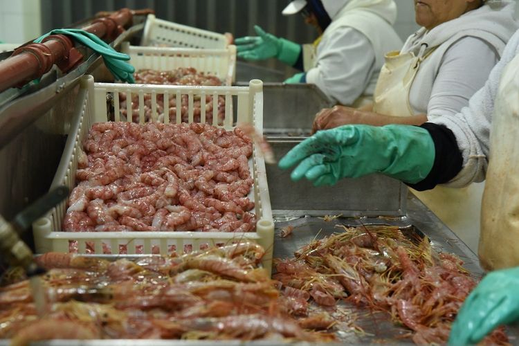 Imagen de portada - Maritime Fishing Landings in Argentina Grow 16% in the First Half of 2026