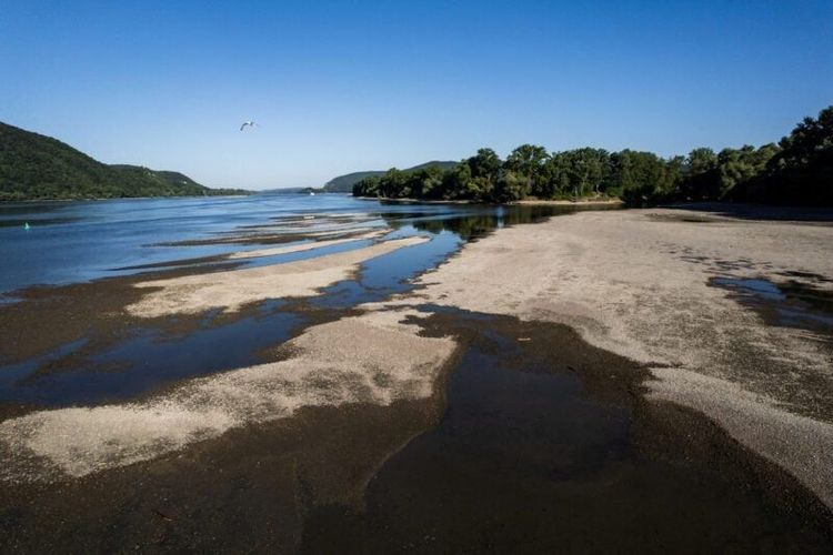 Imagen de portada - Niveles récord-bajos del Danubio estrangulan las exportaciones de grano del Mar Negro