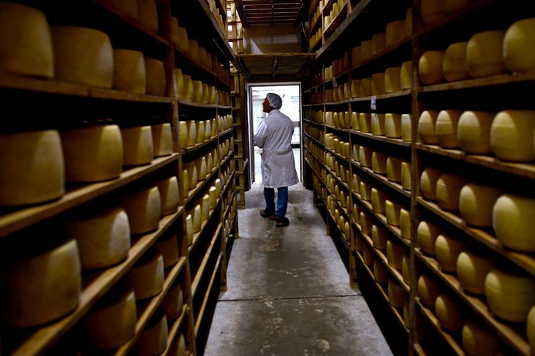 Imagen de portada - Record Dairy Exports for the First 7 Months of the Year with 1.835 Billion Liters of Milk