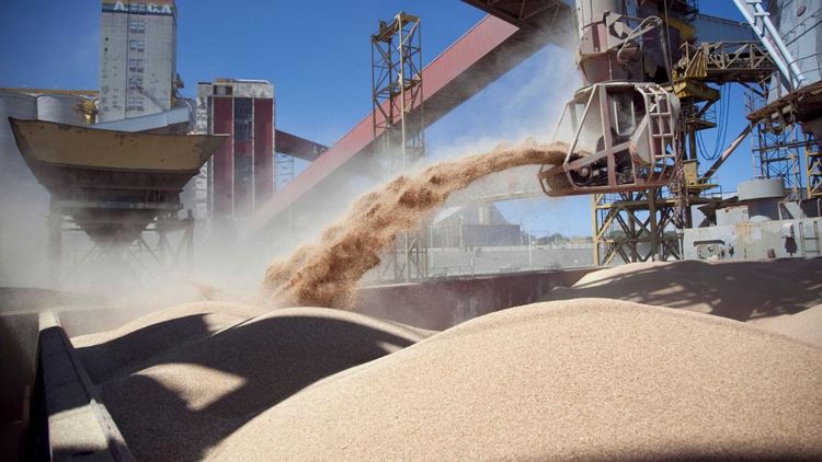 Imagen de portada - Registration for exporters of barley, wheat, soybean, sorghum, and corn grains to China