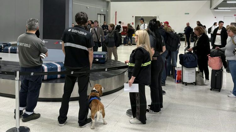 Imagen de portada - Reinforcement of Sanitary Controls at Rosario Airport for the South American Games
