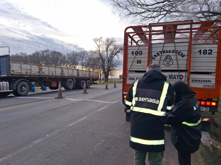 Imagen de portada - Road controls in the Province of San Luis will be strengthened with the National Gendarmerie