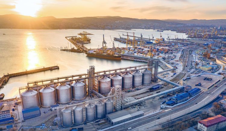 Imagen de portada - Russia restricts grain reception by trucks at Black Sea terminals