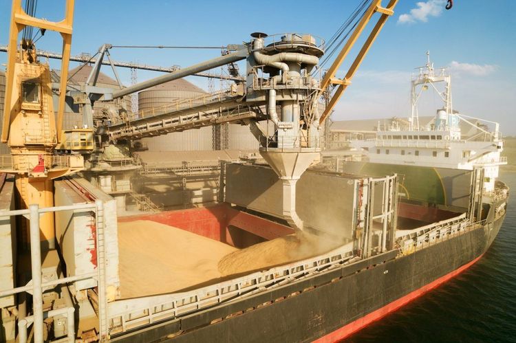 Imagen de portada - Russian Attacks Reduce Ukraine's Grain Export Forecast by 12%