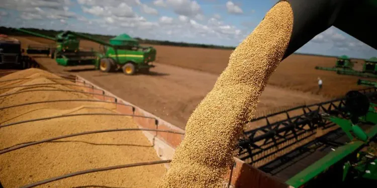 Radiografía agrícola: La producción argentina creció un 14% en una década y diversificó su matriz de cultivos
