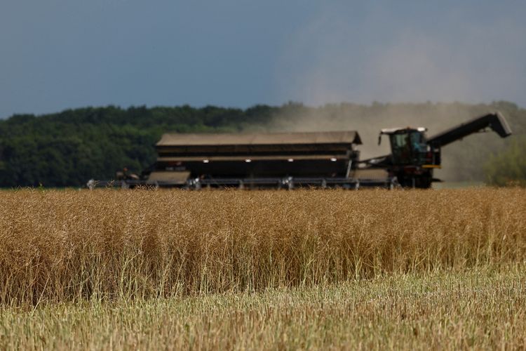 Las exportaciones agroindustriales crecieron un 17,3% en el primer semestre de 2026 y alcanzaron los USD 26.978 millones