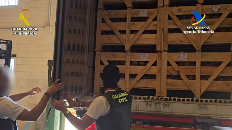 Imagen de portada - Seizure of 1,238 kilos of cocaine in a coconut shipment in Seville