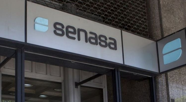 Imagen de portada - Senasa Simplifies Authorizations for Exporting Products of Animal Origin in Argentina